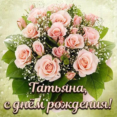 Самые красивые розы с доставкой в Бельцах | Первая служба доставки в Бельцах