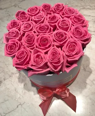 🌹 Шикарные розы без тли и болезней! Поддерживаем красоту и здоровье  розария щадящими методами | Procvetok | Дзен