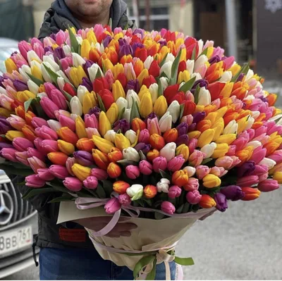 Пионовидные тюльпаны - 69 фото