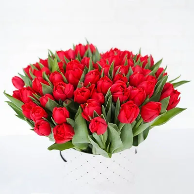 Букет \"Шикарные тюльпаны\" - заказать с доставкой недорого в Москве по цене  6 050 руб.
