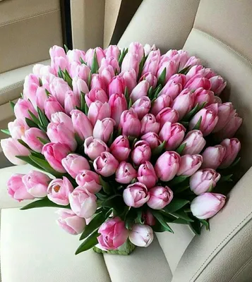 Шикарные тюльпаны в букетах и коробках специально к Дню всех влюблённых со  скидкой 50% от Slivki.by.