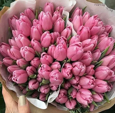 Шикарный букет тюльпанов , perfect bouquet tulips | Цветы, Тюльпаны,  Бумажные бабочки