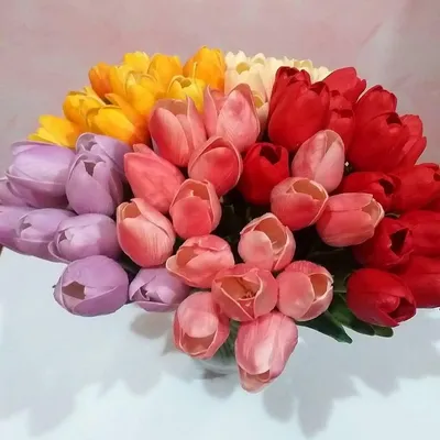 Шикарные тюльпаны по доступным ценам! Подари радость своим любимым женщинам  - поздравь с 8 марта букетом тюльпанов€.. | ВКонтакте