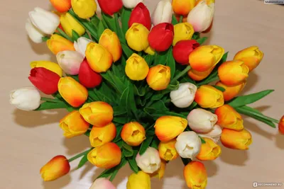 Предзаказ на шикарные тюльпаны Голландия оптом со своей теплицы: 280 тг. -  Сад / огород Панфилово на Olx