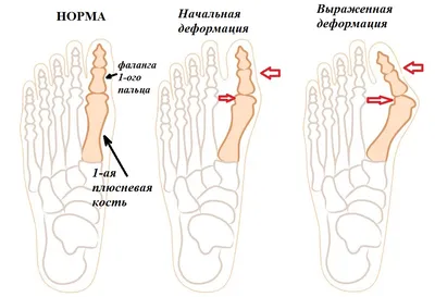 Катерина