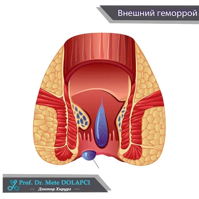 Отзывы посетителей Ветеринарной клиники Биовет на Новогиреевской улице