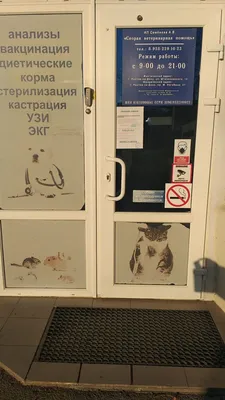 Скорая ветеринарная помощь, Ростов-на-Дону - «Хорошая ветклиника с  доступными ценами» | отзывы