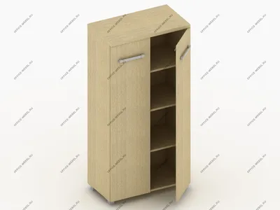 Духдверный шкаф-купе из ЛДСП \"Модель 328\" от GILD Мебель в Саратове -  размеры, цены, фото и описание.