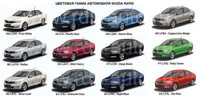 Бампера в ЦВЕТ на Skoda Rapid-1 новые с доставкой