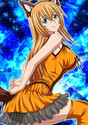 Аниме «Новые школьные войны» / Shin Ikki Tousen (2022) — трейлеры, дата  выхода | КГ-Портал