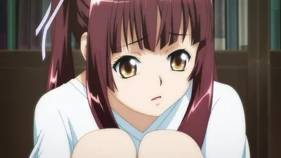 Ikkitousen: Shuugaku Toushi Keppuu-roku (Школьные войны OVA) HD - купить  недорого