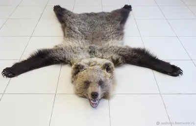Шкура медведя: Изображение в формате webp, скачать бесплатно