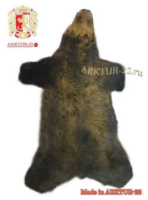 Шкура медведя: Фото с выразительным узором медвежьей шкуры
