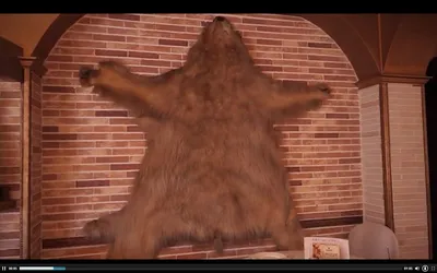 Шкура медведя: Изображение медвежьей шкуры для декора