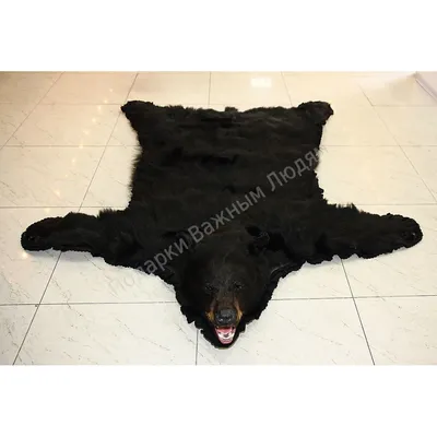 Шкура медведя: Изображение с узорами медвежьей шкуры для дизайна