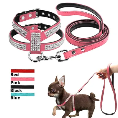 Элегантная шлейка и поводок со стразами для маленких собак – купить по  низким ценам в интернет-магазине Joom