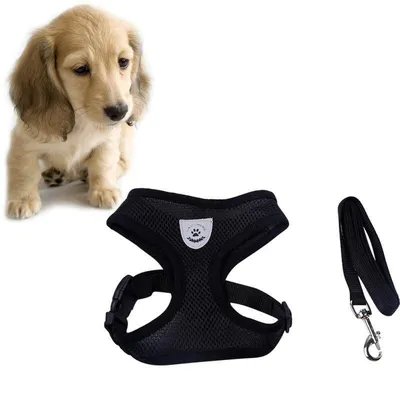 Комплект из шлейки и поводка для маленьких собак | AliExpress