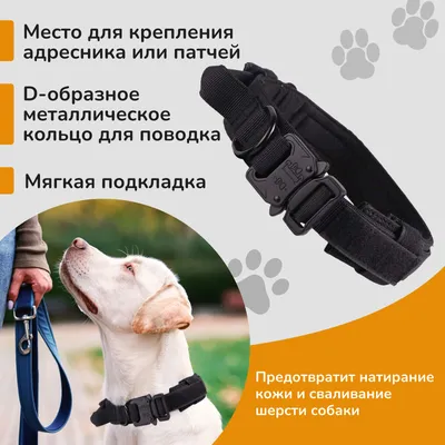 Светоотражающая Мягкая сетчатая шлейка для собак, нейлоновые  воздухопроницаемые шлейки для собак, мягкий жилет, прочная Регулируемая  шлейка для маленьких и средних собак | AliExpress