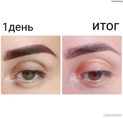 Пудровые брови в Днепре, цены на пудровое напыление бровей Beauty look