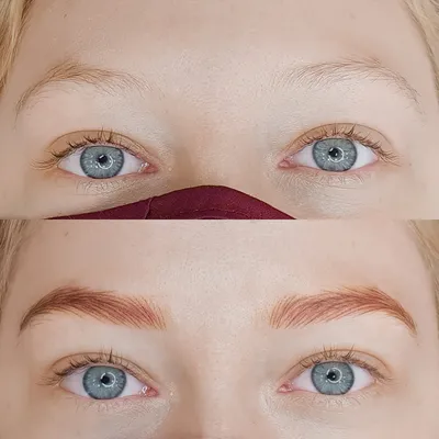Шотирование бровей в Москве: цена, отзывы, фото – студия-салон The Lashes