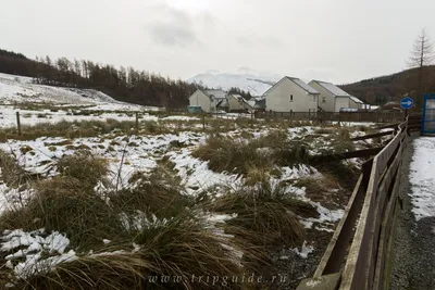 Шотландия зимой : Путь в Perthshire Strathearn леса. Стоковое Фото -  изображение насчитывающей шотландия, полесье: 207054078