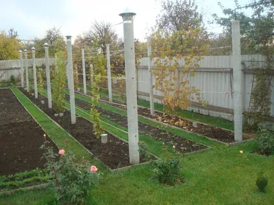Пин от пользователя (:) Agie на доске Garden | Вегетарианские сады, Садовый  трельяж, Выращивание ежевики
