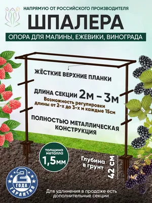 Концевая стойка (шпалера для винограда) из оцинкованной стали 138 мм, 2 мм,  h 2500 мм | Menatwork PM