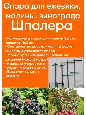 ❖Опоры для винограда ⟪Промежуточные и концевые⟫ от 56,70 грн м/п | Купить  шпалеры для винограда по цене производителя | Иприс-Профиль