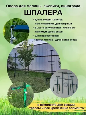 Продам шпалера для ежевики, купить шпалера для ежевики, Ростовская обл —  Agro-Russia
