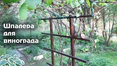 Декоративные шпалеры для сада - томатов, огурцов, ежевики и малины - Pergone
