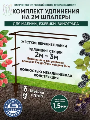 Шпалера для винограда Ласар Т-образная окрашенная по цене 2503 ₽/шт. купить  в Архангельске в интернет-магазине Леруа Мерлен