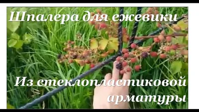 Loft Metall Шпалера для малины и винограда
