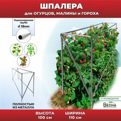 подставка под малину(малинники, опора) 2 шт — купить в Красноярске.  Состояние: Новое. Подставки и полки для цветов на интернет-аукционе Au.ru