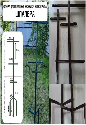 Шпалера для малины от завода Гефест, шпалеры для малинников, оцинкованные  столбы шпалеры для малины клубники по оптовым ценам с доставкой и монтажем