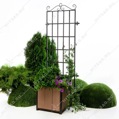 Шпалера для вьющихся растений | naidy-garden.ru