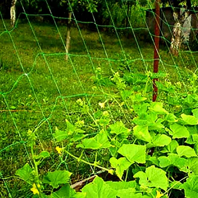 Сетка шпалерная для огурцов и вьющихся растений 5 метров – купить за 590 ₽  | Интернет-магазин товаров для дома Shariezal