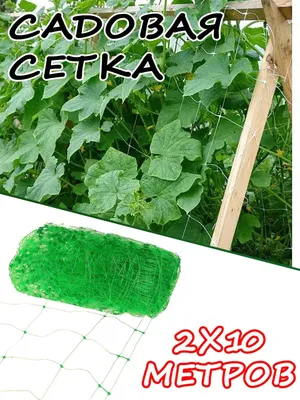 Шпалерная сетка для огурцов и вьющихся растений Beroma 07710561 - выгодная  цена, отзывы, характеристики, фото - купить в Москве и РФ