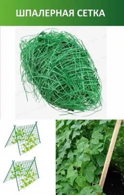 Шпалерная сетка 150х170мм для огурцов 2х4м (высота 2м длина 4м) Шпалера для  вьющихся растений | AliExpress