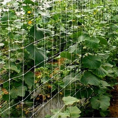 Сетка шпалерная для огурцов и вьющихся растений 10 метров – купить за 690 ₽  | Интернет-магазин товаров для дома Shariezal