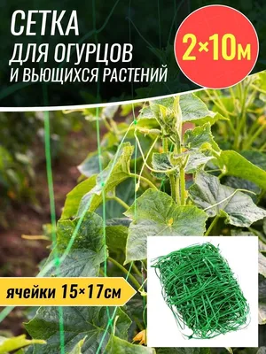 Agroved / Шпалерная сетка 2х3 метров для вьющихся растений и огурцов  садовая — Вайлдник