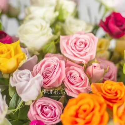 РОЗА ШРАБОВАЯ \"PEONY PINK\": купить саженцы розы шрабовой peony pink почтой  | PLOD.UA