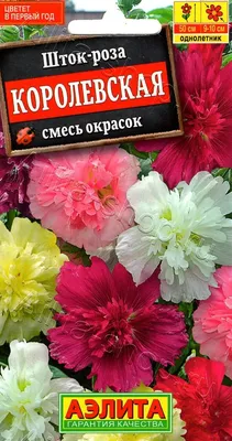 Шток-роза Королевская, смесь окрасок 0,1г, семена | Купить в интернет  магазине Аэлита