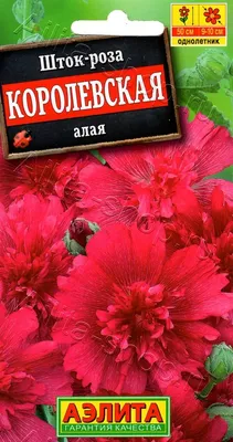 Шток-роза Ассорти, смесь сортов 0,2 г ЦП Аэлита — купить в Вологде в  СтройОптТорг: выбирайте в каталоге с ценами, характеристиками, фото.