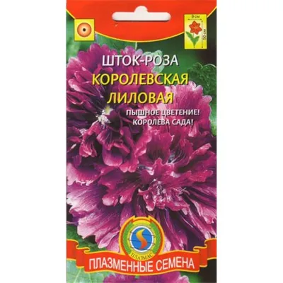 Купить Шток-роза Королевская белая /Аэлита/ в Якутске | Наша дача