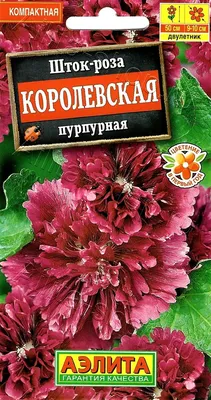 Семена Шток-роза КОРОЛЕВСКАЯ пурпурная купить по низкой цене в  интернет-магазине - Интернет-магазин «СЕМЕНА ТУТ»