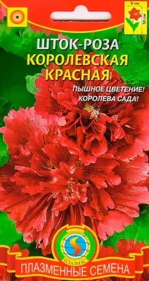 GuruDom.kz - Семена цветов Шток роза \"Королевская смесь\", 0,1 гр