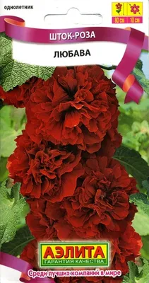 Шток-роза Королевская Смесь, высотой до 50см, с гигантскими яркими  соцветиями – 'Удобряшки и растюшки', Южно-Сахалинск