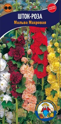 Семена цветов Шток-роза Ассорти, смесь окрасок, О, 0,2 г в Бишкеке купить  по ☝доступной цене в Кыргызстане ▶️ max.kg