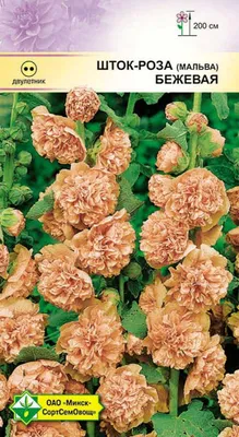 Купить семена роз с доставкой курьером и почтой в интернет-магазине  Semena.ru