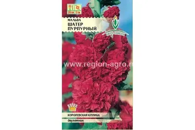 Шток роза Королевская лиловая (семена,цветы) купить по цене 59 ₽ в  интернет-магазине KazanExpress